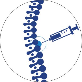 Regional-Anesthesia.png Regional-Anesthesia.png
